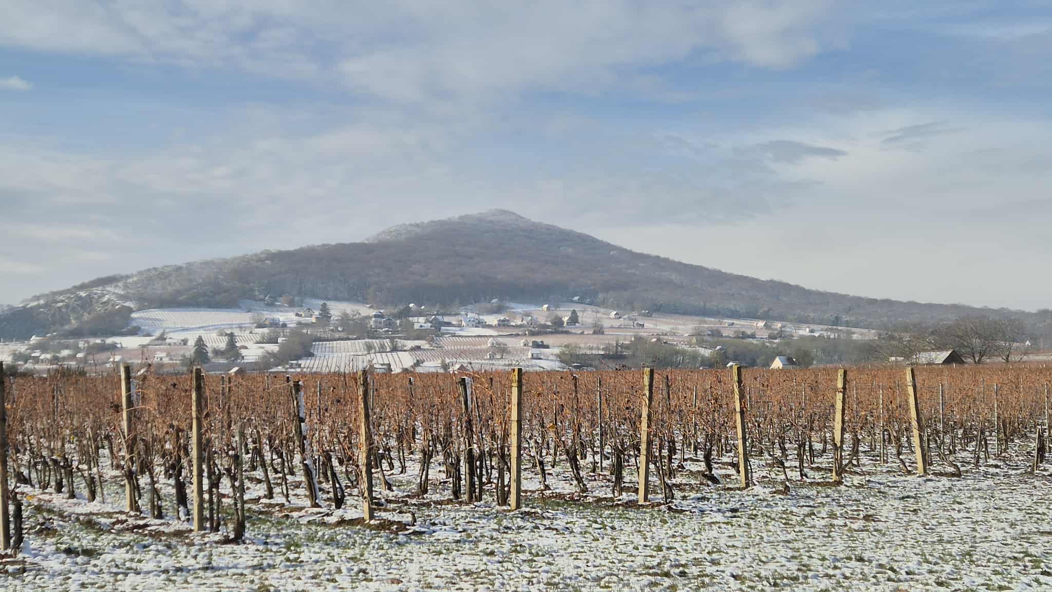 Villányi havas tájkép CardinalBor