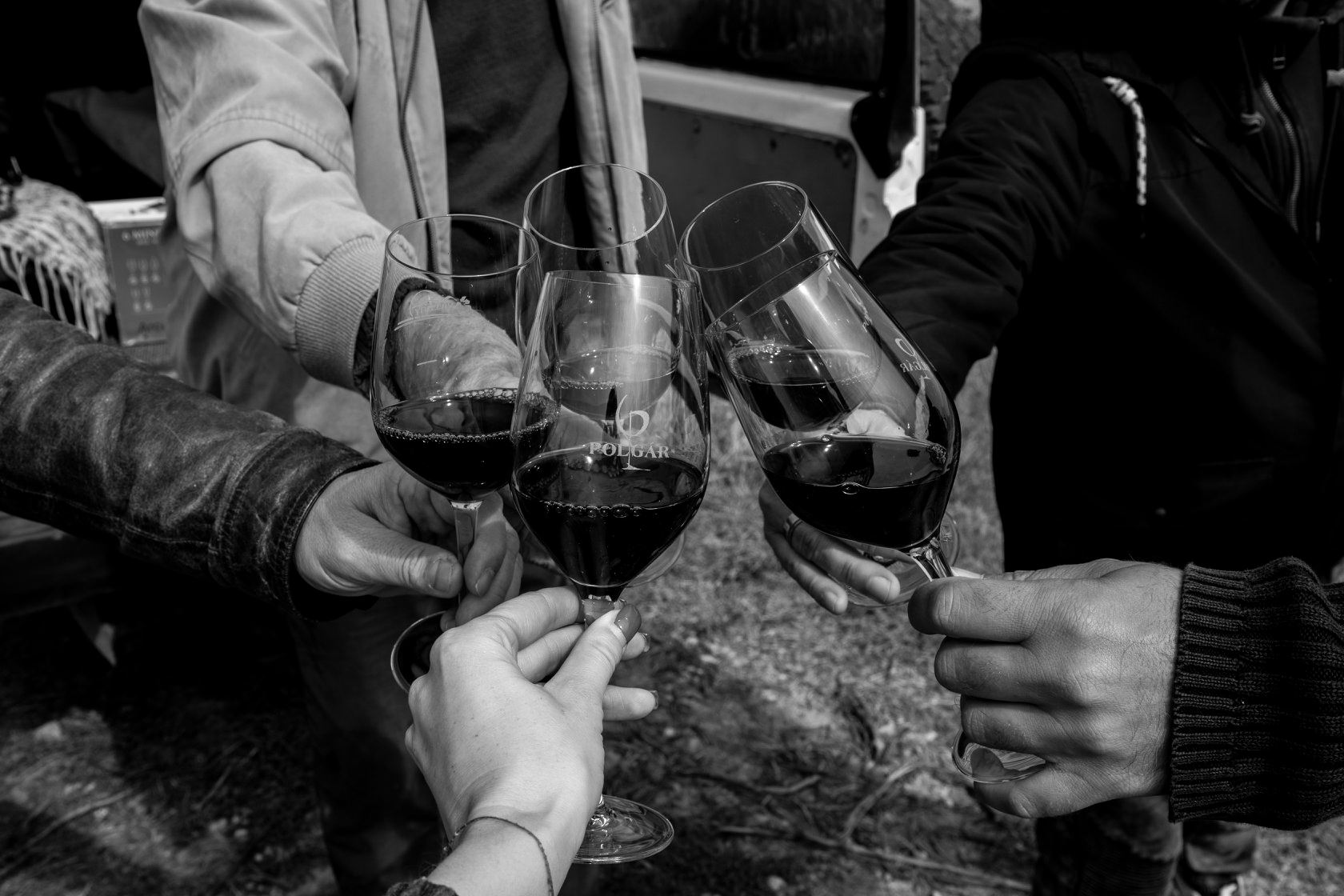 CardinalBor programok Villány